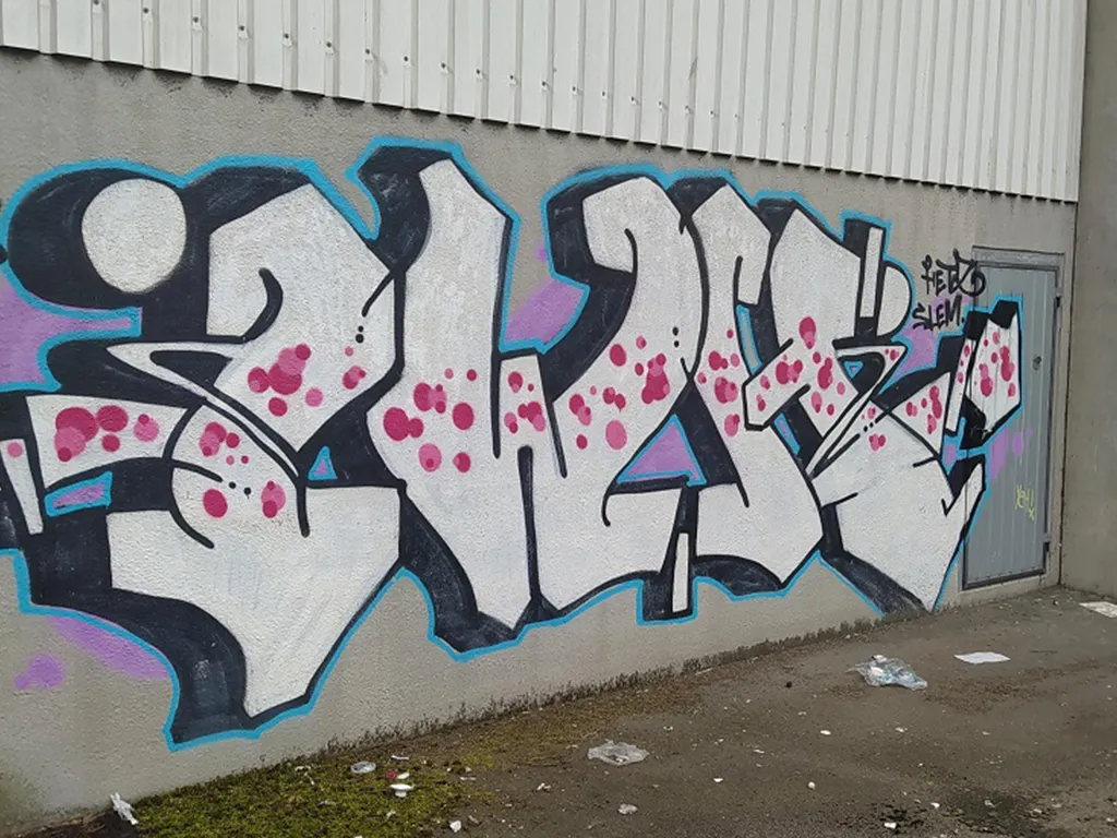 förebild på graffiti i Halmstad inför sanering